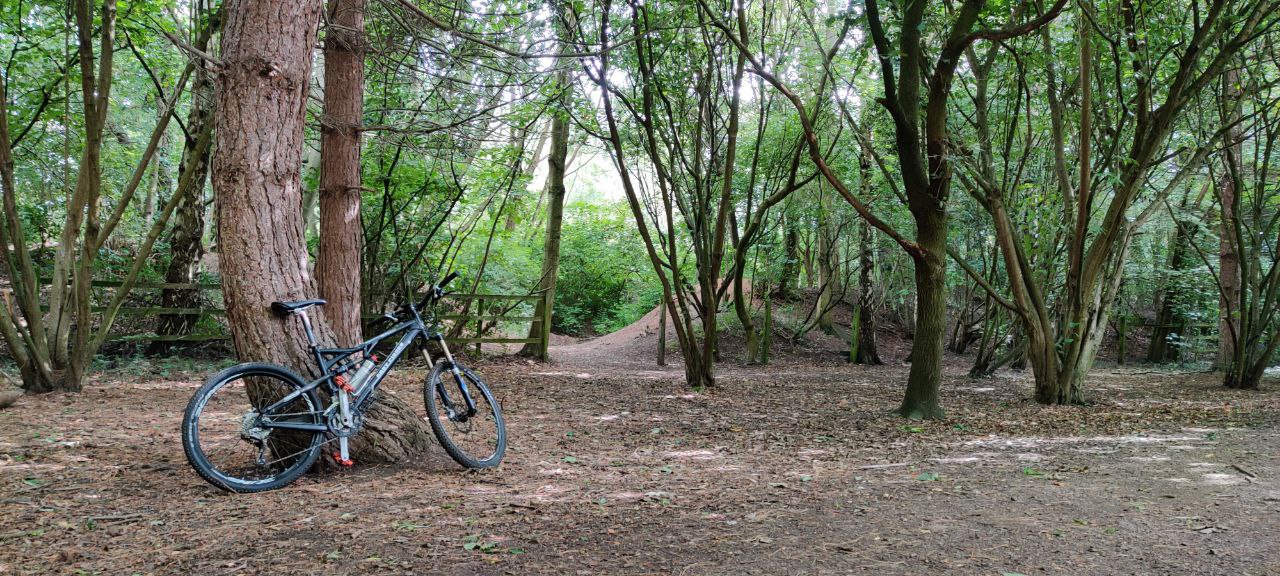 A bike lent against a tree, with trails in the background