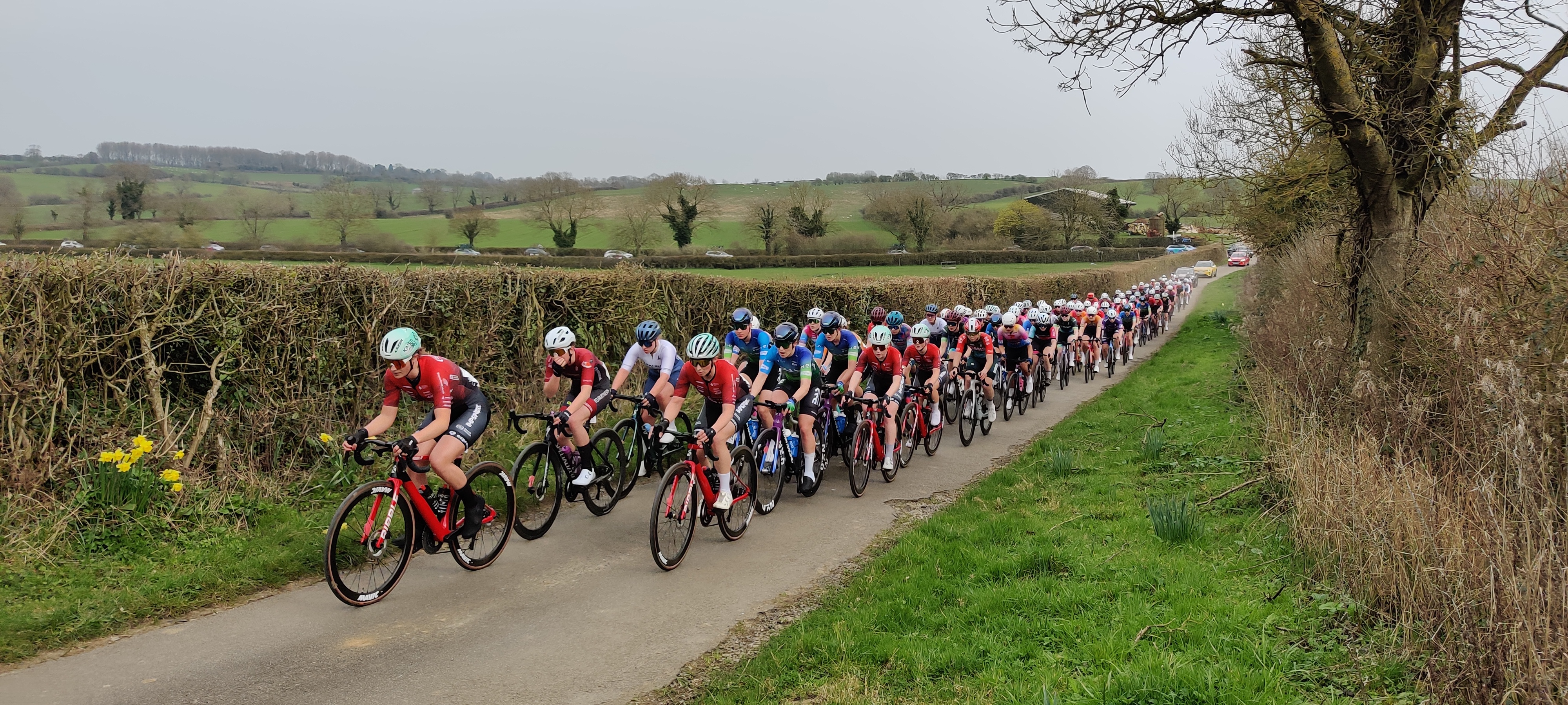 A group of professional road cyclists coming towards the camera. There's around 100 multicoloured jerseys coming up the narrow lane. Either side is thick hedge, green grass, and a tree in the foreground. In the background the train of cars follows the riders, and the hills they'll ride later in the day is visible A group of professional road cyclists coming towards the camera. There's around 100 multicoloured jerseys coming up the narrow lane. Either side is thick hedge, green grass, and a tree in the foreground. In the background the train of cars follows the riders, and the hills they'll ride later in the day is visible