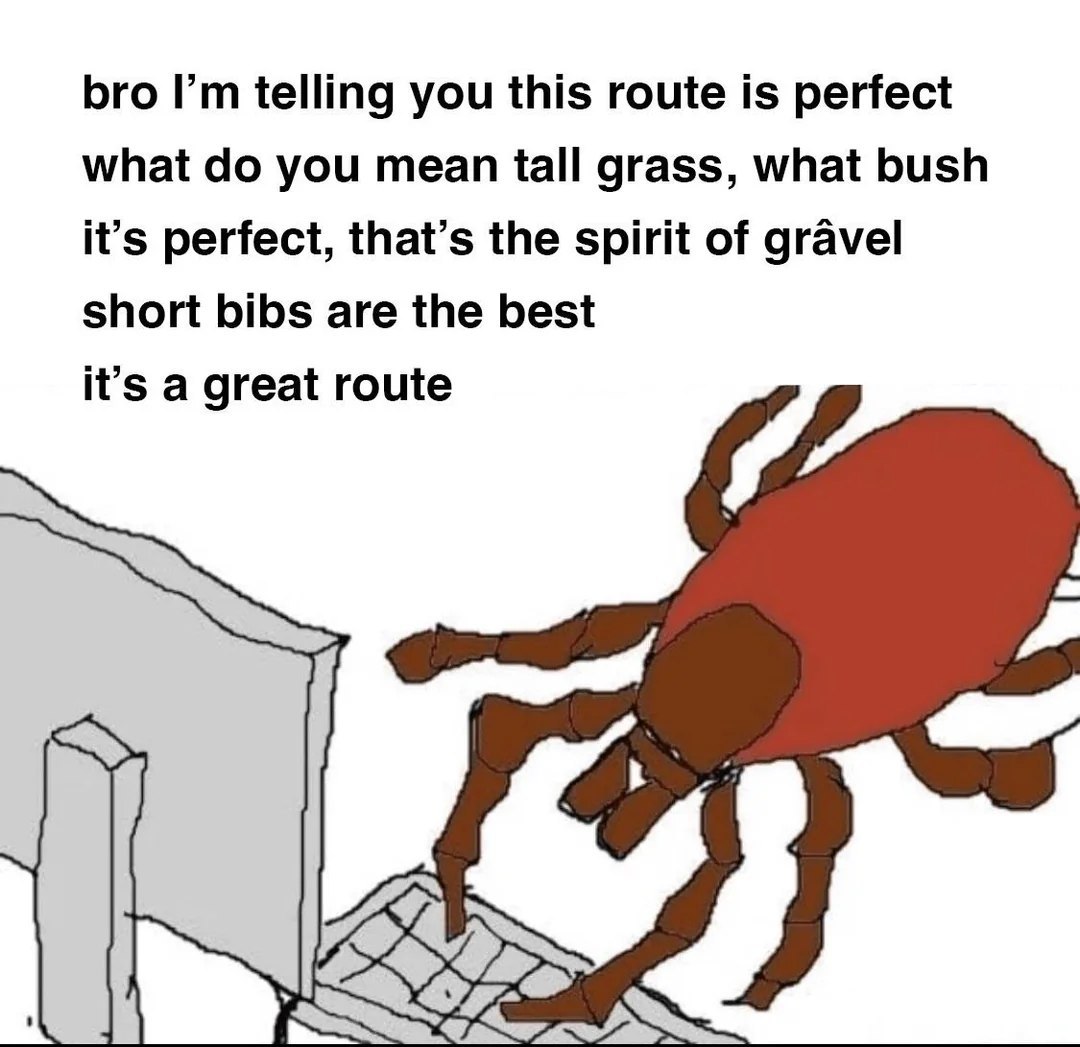 Gravel Spider